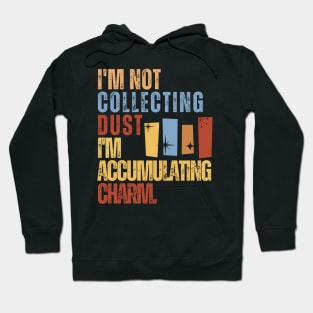 I'm Not Collecting Dust; I'm Accumulating Charm. Hoodie